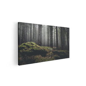 Canvas schilderij vooraanzicht Bos Met Mos Op Rotsen
