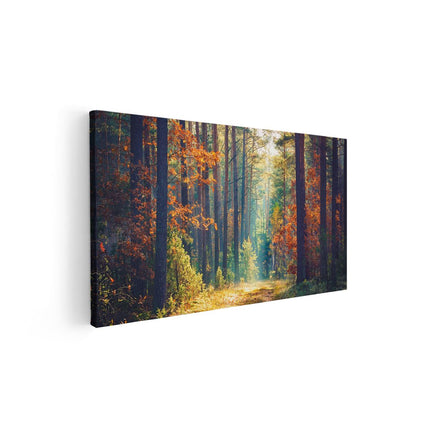 Canvas schilderij vooraanzicht Herfstbos Met Zonneschijn - Kleur