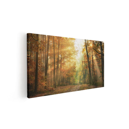 Canvas schilderij vooraanzicht Herfstbos Met Zonneschijn