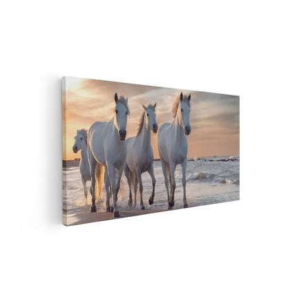 Canvas schilderij vooraanzicht Witte Paarden Op Het Strand Bij Water