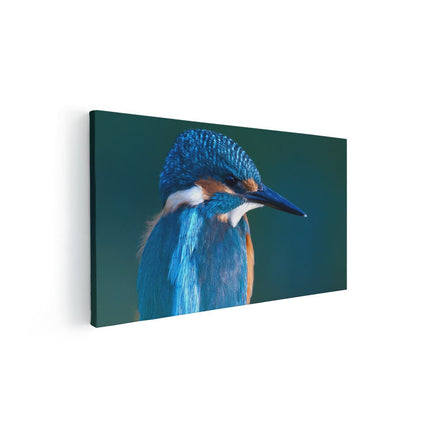 Canvas schilderij vooraanzicht Blauwe IJsvogel Op Een Tak