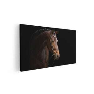 Canvas schilderij vooraanzicht Bruin Paard Op Een Zwart Achtergrond