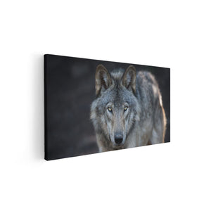 Canvas schilderij vooraanzicht Wolvenkop - Grijze Wolf