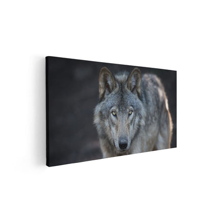 Canvas schilderij vooraanzicht Wolvenkop - Grijze Wolf