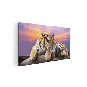 Canvas schilderij vooraanzicht Tijger Tijdens Zonsondergang