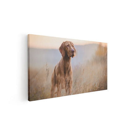 Canvas schilderij vooraanzicht Hongaarse Vizsla Hond In Het Gras