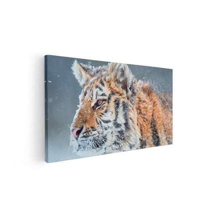 Canvas schilderij vooraanzicht Tijger Tijdens De Sneeuw