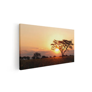Canvas schilderij vooraanzicht Zonsondergang Achter Een Acacia Boom