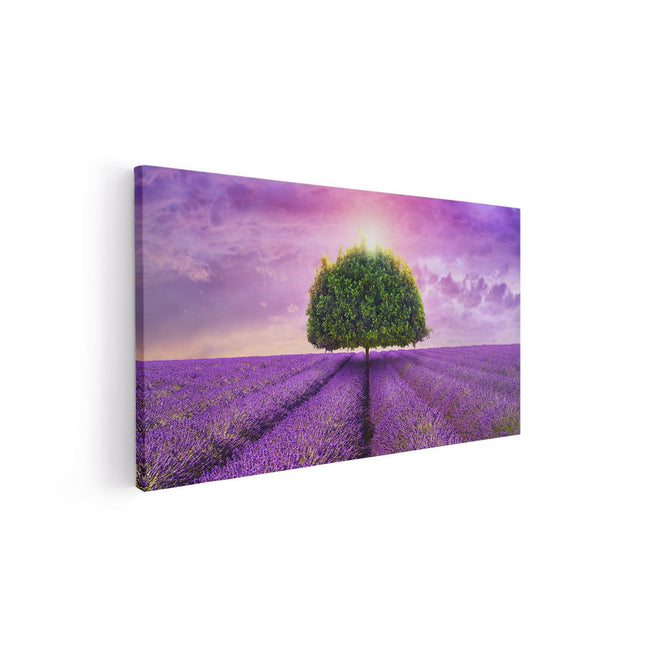 Canvas schilderij vooraanzicht Groene Boom In De Lavendel Bloemen