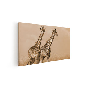 Canvas schilderij vooraanzicht Twee Giraffes In Het Veld