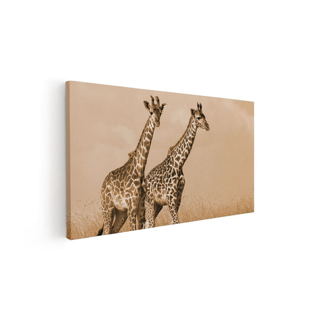 Canvas schilderij vooraanzicht Twee Giraffes In Het Veld