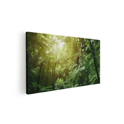 Canvas schilderij vooraanzicht Tropische Jungle Met Zonneschijn