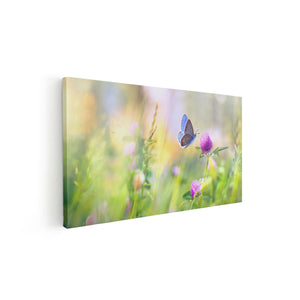 Canvas schilderij vooraanzicht Blauwe Vlinder Bij Een Paarse Bloem