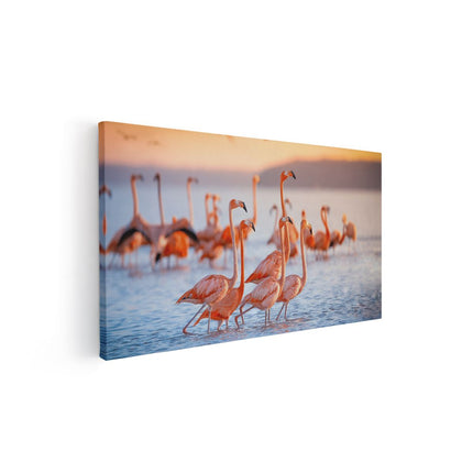 Canvas schilderij vooraanzicht Kudde Flamingo's in het Water
