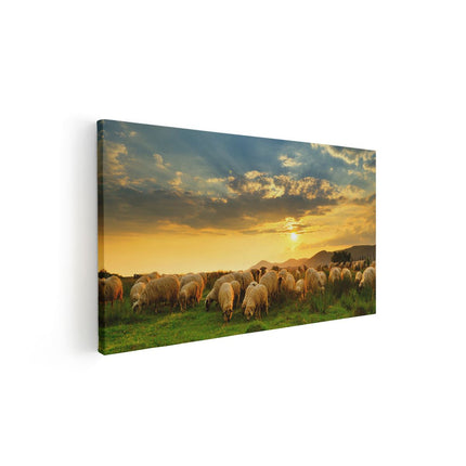 Canvas schilderij vooraanzicht Kudde Schapen op het Gras bij Zonsondergang