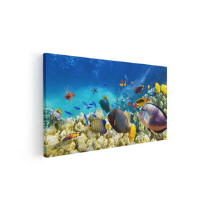 Canvas schilderij vooraanzicht Vissen in de Oceaan met Koralen