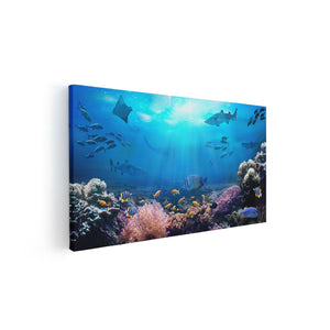 Canvas schilderij vooraanzicht Vissen met Haaien in de Oceaan met Koraalrif