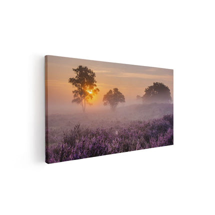 Canvas schilderij vooraanzicht Weide in de Veluwe bij Zonsondergang