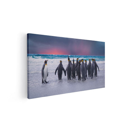 Canvas schilderij vooraanzicht Groep Pinguïns bij het Water - Kudde