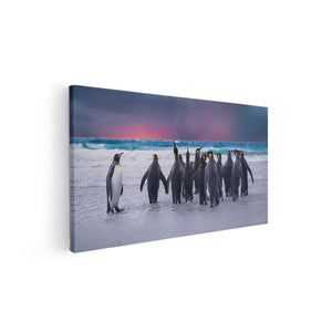Canvas schilderij vooraanzicht Groep Pinguïns bij het Water - Kudde