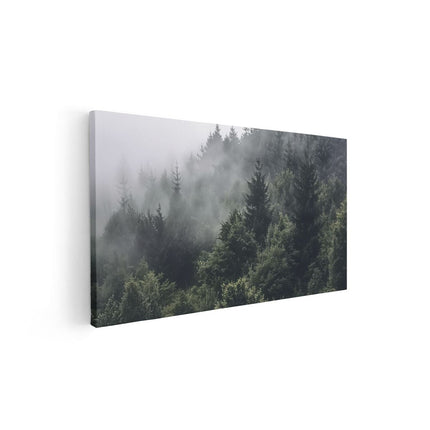 Canvas schilderij vooraanzicht Bos Bedekt met Mist