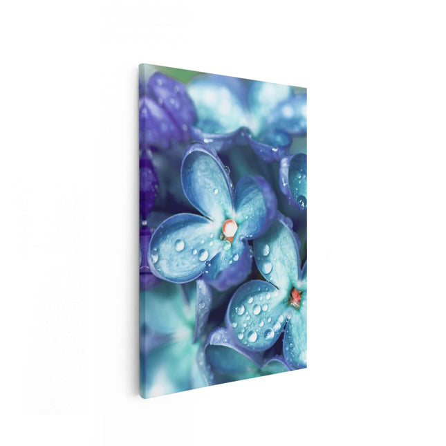 Canvas schilderij vooraanzicht Blauwe Lila Bloemen - Seringen