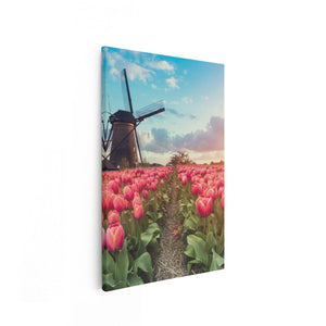 Canvas schilderij vooraanzicht Roze Tulpen Bloemenveld - Met Windmolen