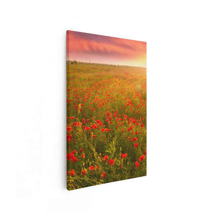 Canvas schilderij vooraanzicht Rode Klaproos Bloemenveld - Zonsondergang