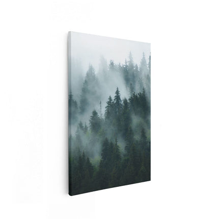 Canvas schilderij vooraanzicht Bos Met Bomen In De Mist