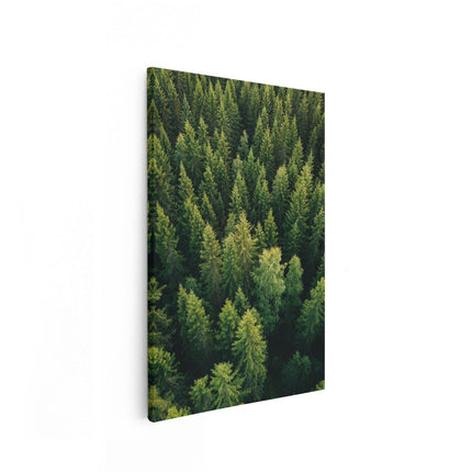 Canvas schilderij vooraanzicht Bos Met Bomen Vanaf Boven