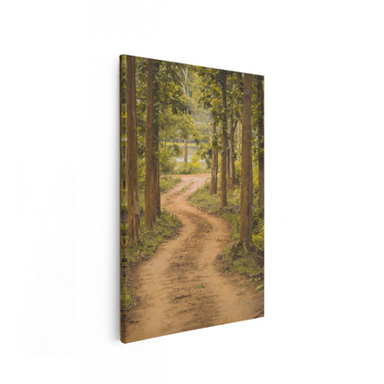 Canvas schilderij vooraanzicht Pad In Het Bos Met Bomen