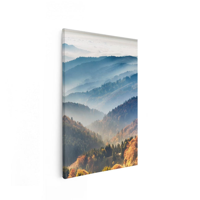 Canvas schilderij vooraanzicht Heuvel Landschap Van Het Zwarte Wout Bos