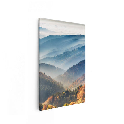 Canvas schilderij vooraanzicht Heuvel Landschap Van Het Zwarte Wout Bos