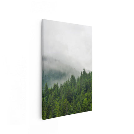 Canvas schilderij vooraanzicht Groen Bos Met Bomen Tijdens De Mist