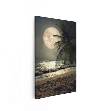 Canvas schilderij vooraanzicht Tropisch Strand In De Nacht Met Volle Maan