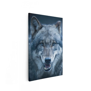 Canvas schilderij vooraanzicht Wolvenkop Met Blauwe Ogen - Wolf