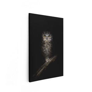 Canvas schilderij vooraanzicht Uil Op Een Tak In De Nacht
