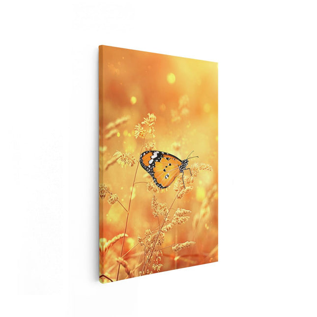 Canvas schilderij vooraanzicht Oranje Vlinder In Het Oranje Veld
