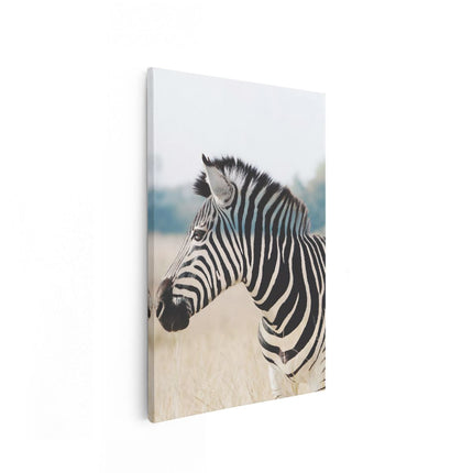 Canvas schilderij vooraanzicht Zebra met Doorzichtige Strepen