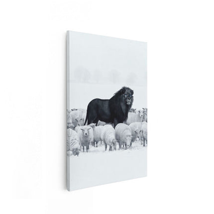 Canvas schilderij vooraanzicht Leeuw bij een Kudde Schapen