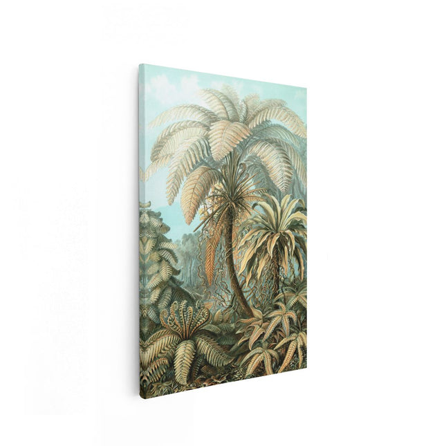 Canvas schilderij vooraanzicht Filicinae 92 - Palmbomen - Ernst Haeckel