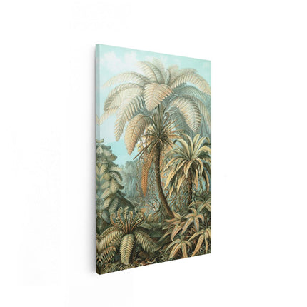 Canvas schilderij vooraanzicht Filicinae 92 - Palmbomen - Ernst Haeckel