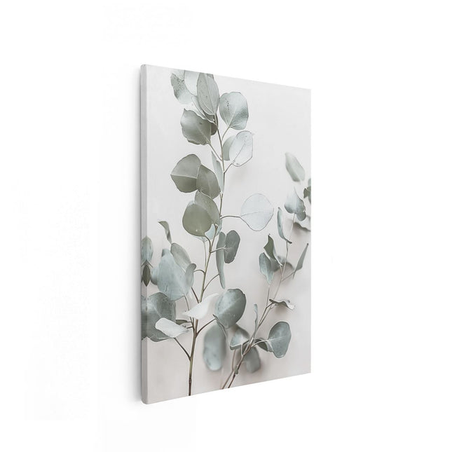 Canvas schilderij vooraanzicht Eucalyptusbladeren op een Witte Achtergrond