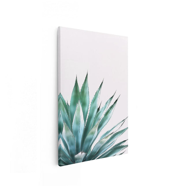 Canvas schilderij vooraanzicht Agave Plant op een Witte Achtergrond