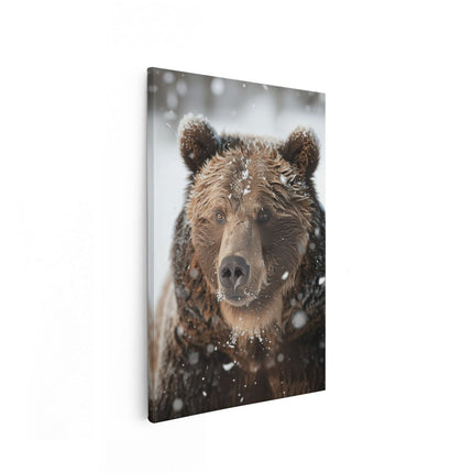 Canvas schilderij vooraanzicht Bruine Beer in de Sneeuw