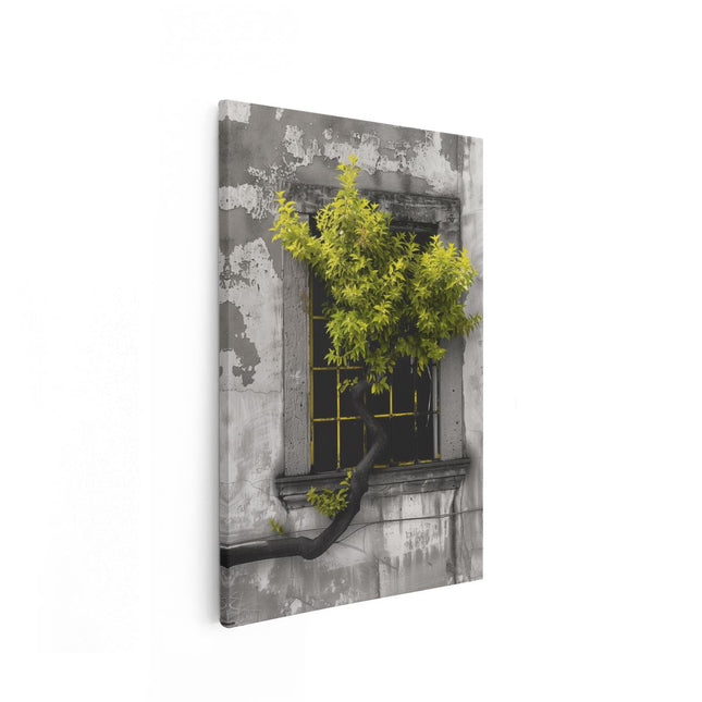 Canvas schilderij vooraanzicht Boom die uit een Raam Groeit