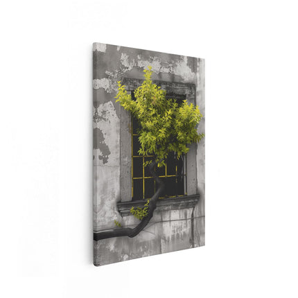 Canvas schilderij vooraanzicht Boom die uit een Raam Groeit