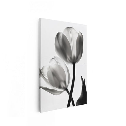 Canvas schilderij vooraanzicht Twee Tulpen in Zwart en Wit