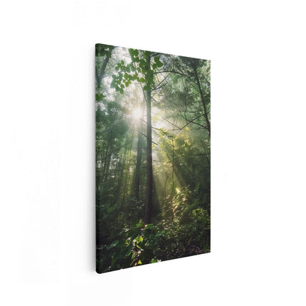 Canvas schilderij vooraanzicht De Zon schijnt door de Bomen in het Bos