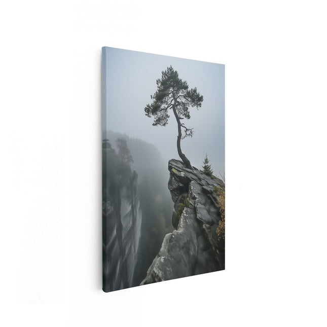 Canvas schilderij vooraanzicht Eenzame Boom aan de Rand van een Klif